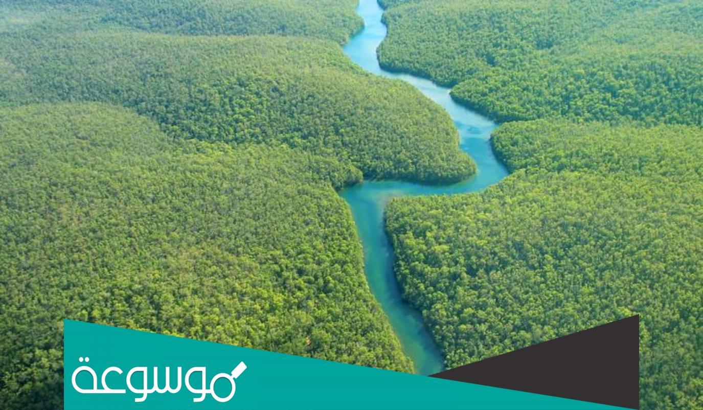 معلومات عن أشهر الأنهار في العالم