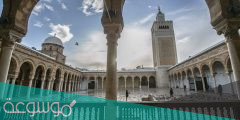 معلومات عن جامع الزيتونة