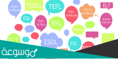 معلومات عن شهادة TEFL لتدريس اللغة الإنجليزية