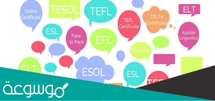معلومات عن شهادة TEFL لتدريس اللغة الإنجليزية