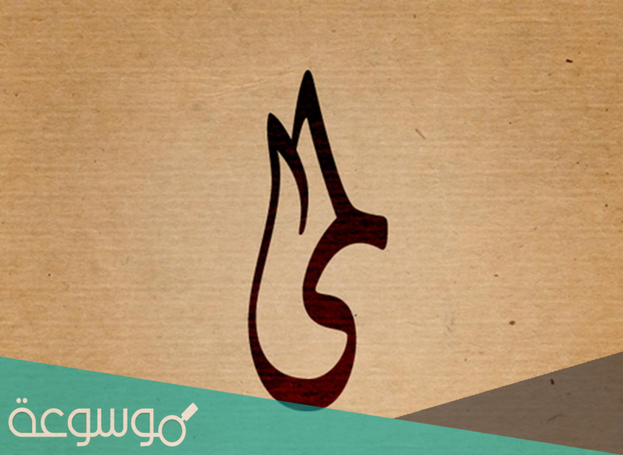 معنى اسم لمى وصفات صاحبة الاسم