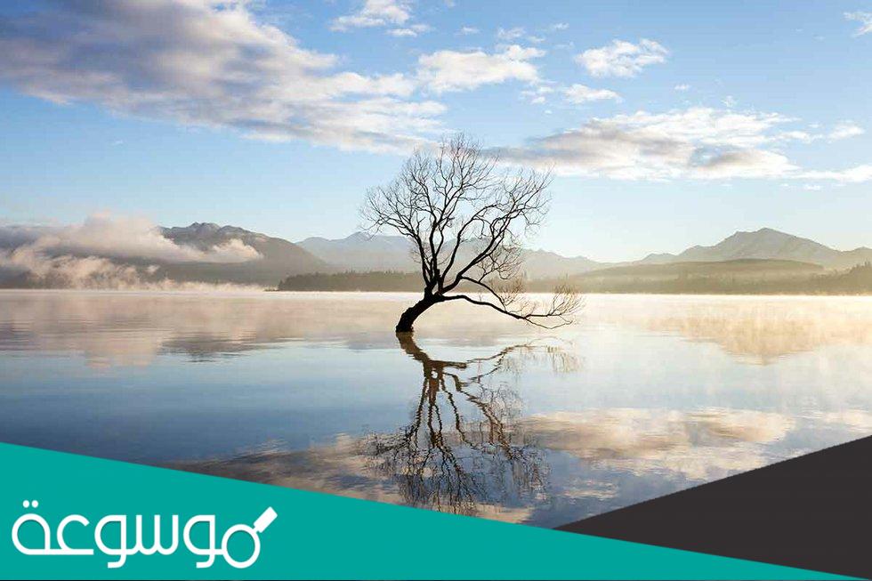 معنى كلمة My Soul بالعربي ومتى تقال ؟