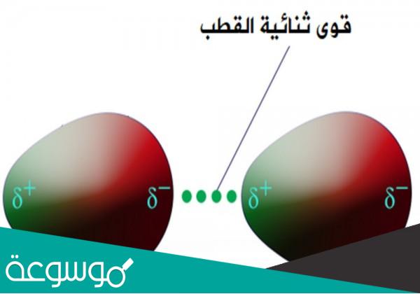 مقارنة بين قوى التشتت وقوى ثنائية القطب