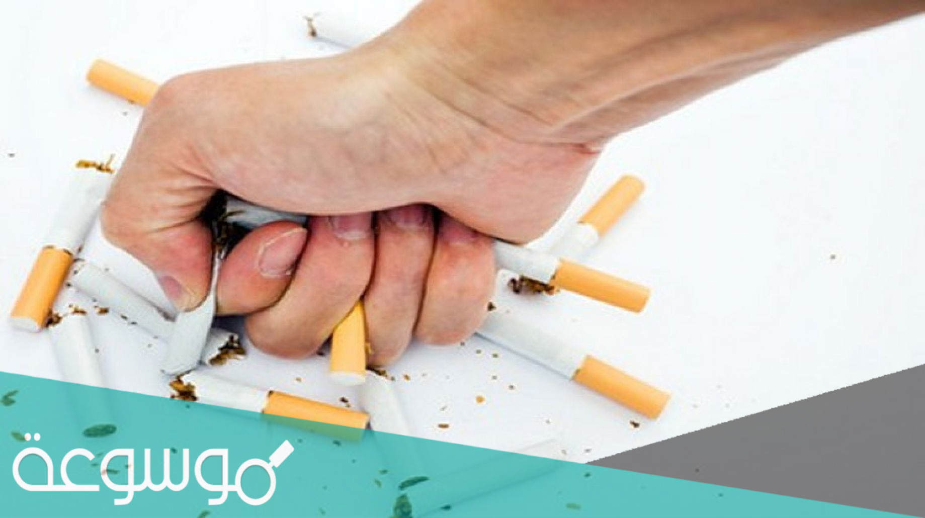 مقال صحفي عن التدخين