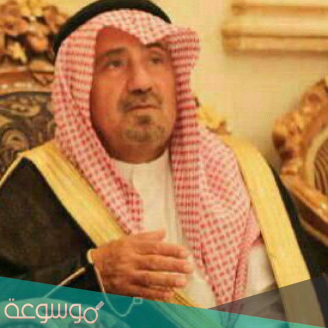 من هو احمد السريع ويكيبيديا