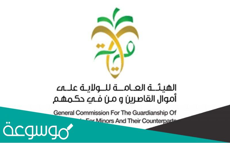 نبذة عن الهية العامة للولاية على أموال القاصرين و من في حكمهم