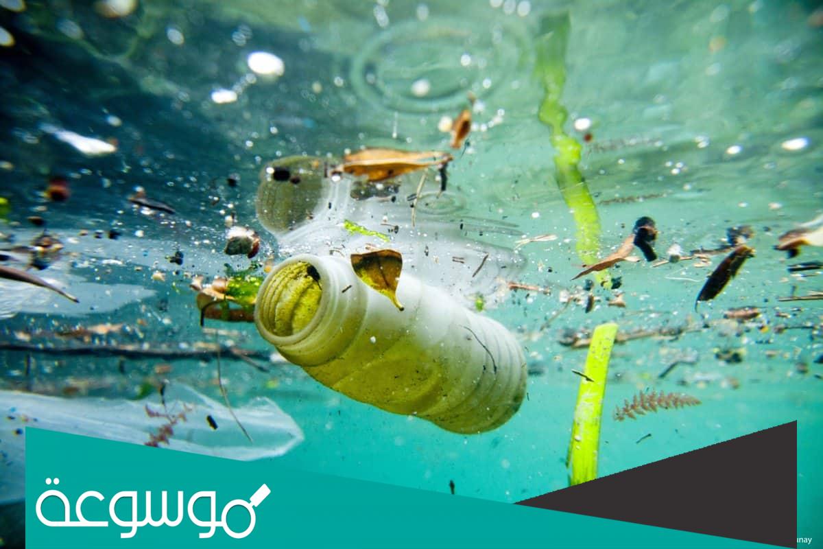 نتائج تلوث المياه