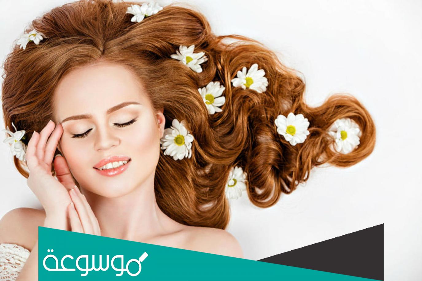 نظام كامل يعالج الشعر التالف في وقت قصير