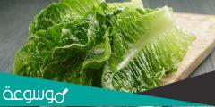 هل الخس يسبب غازات