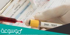 هل تحليل DNA يثبت النسب علميا
