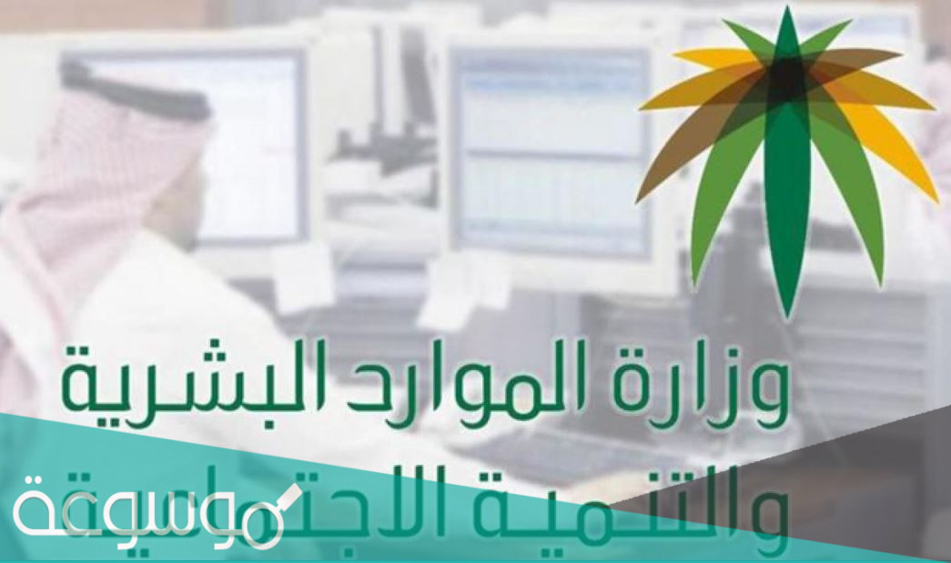 هل تغير المهنة مفتوح الآن وما هي شروطها