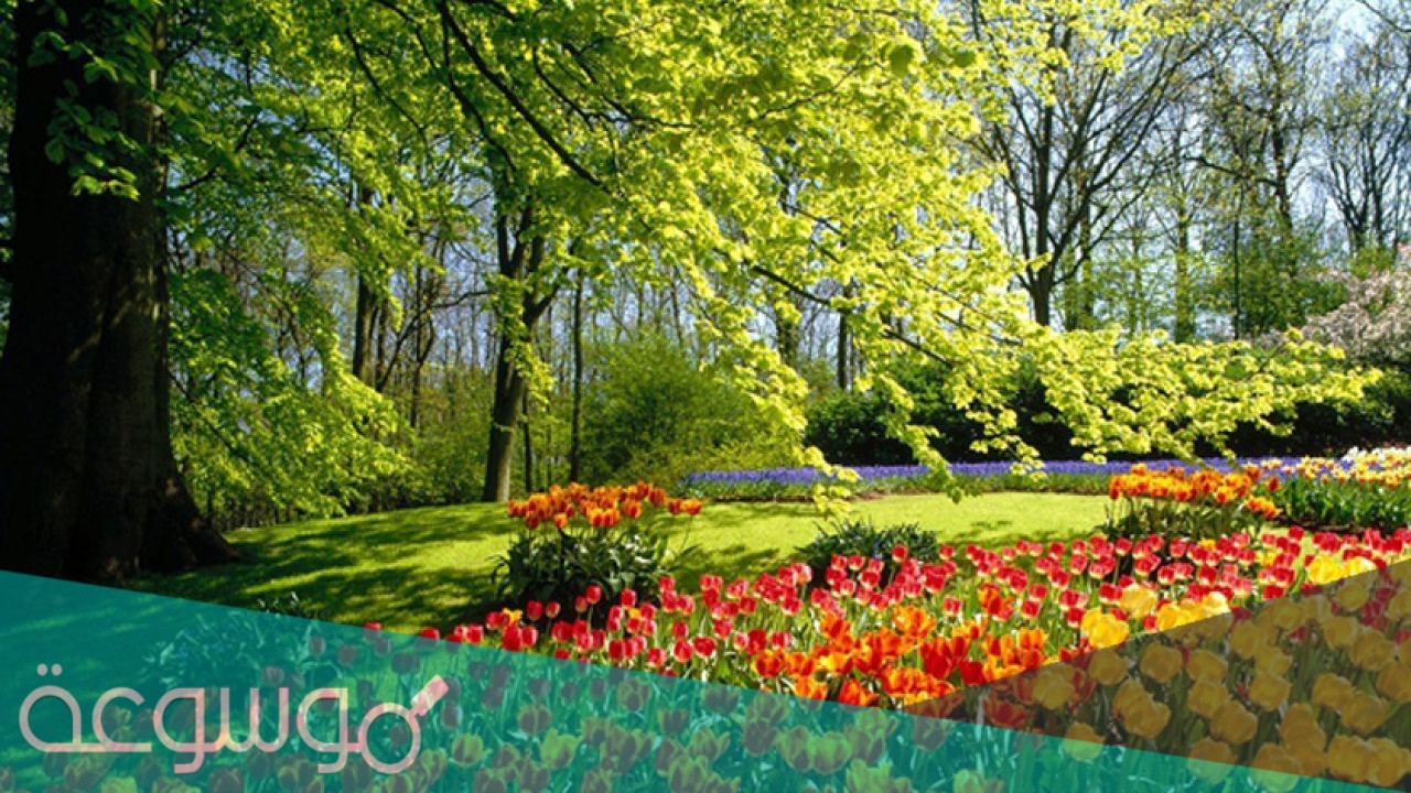 هل يناير من اشهر فصل الربيع