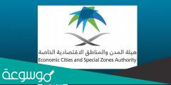 هيئة المدن الإقتصادية السعودية