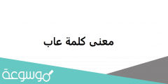 وش معنى كلمة عاب