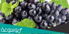 10 منافع صحية للعنب الأسود