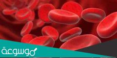 10حقائق مهمة عن مرض الأنيميا