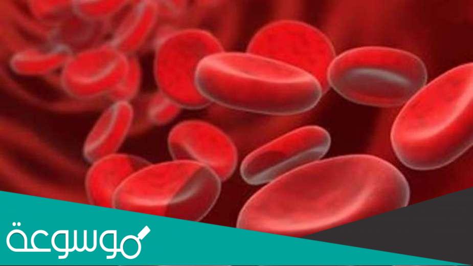 10حقائق مهمة عن مرض الأنيميا