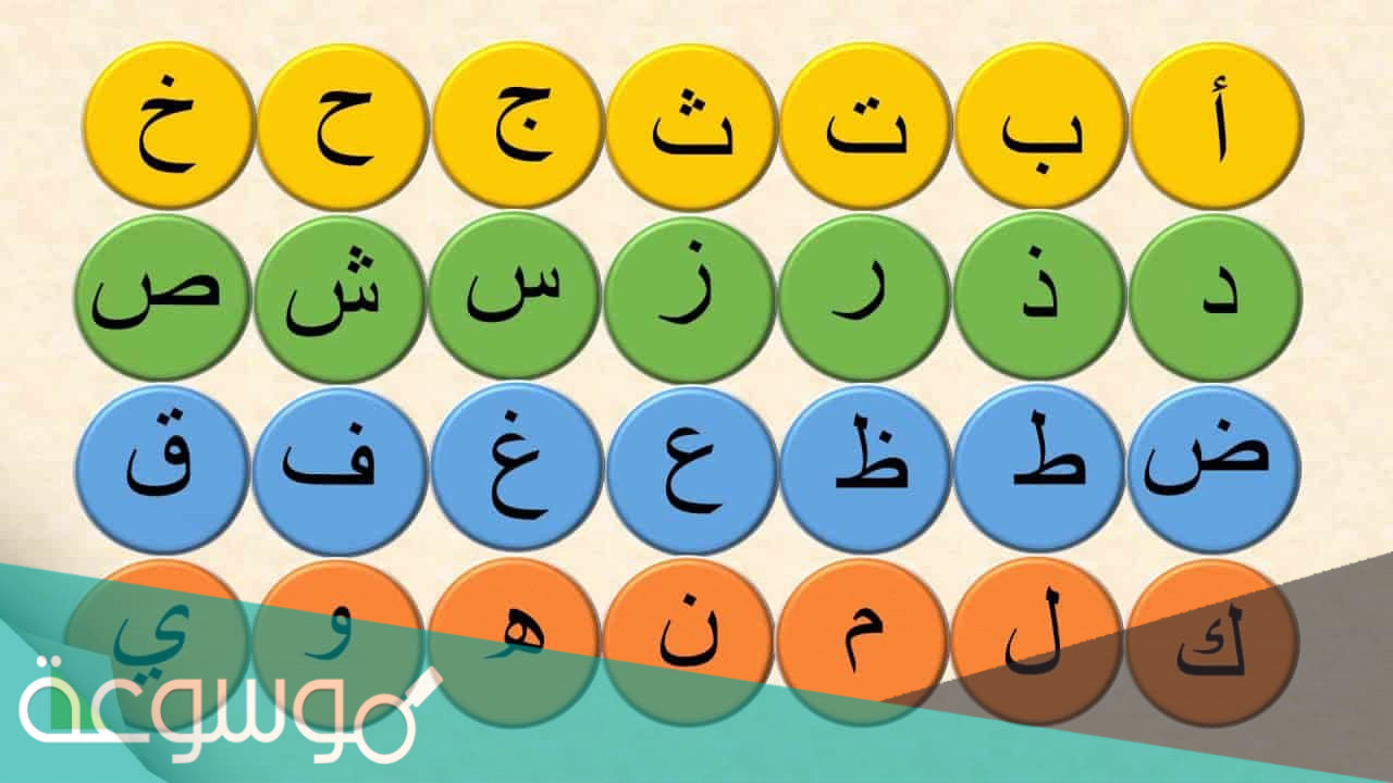 كلمات بها همزة متوسطة على واو