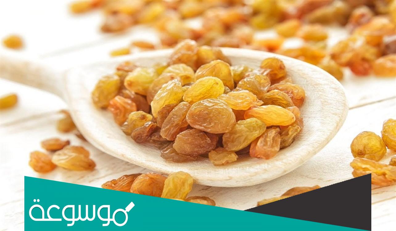 تفسير رؤية الزبيب في المنام حسب تفسير ابن سيرين وابن شاهين