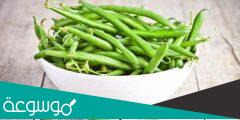 فوائد الفاصوليا الخضراء للحامل