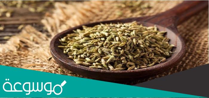 30 فائدة من ” فوائد اشواغاندا ” العشبة العجيبة