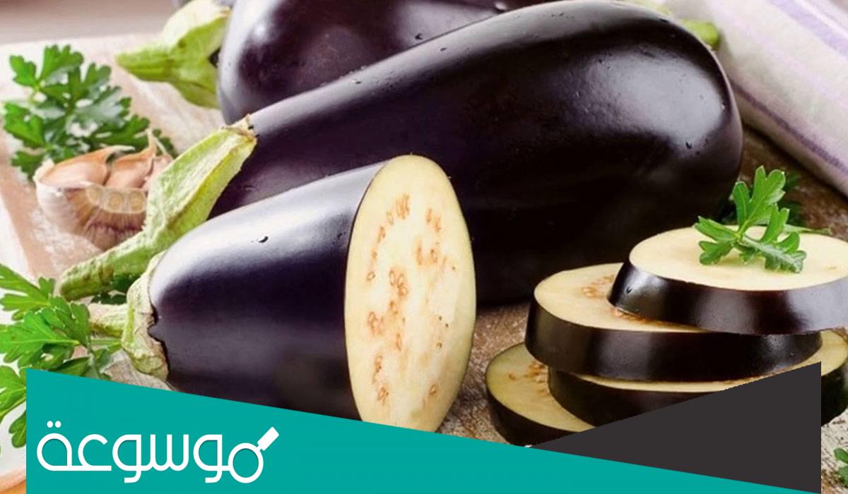 تفسير رؤية الباذنجان في المنام حسب تفسير ابن سيرين والنابلسي وابن شاهين