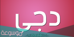 معنى اسم دجى وصفات حاملة الاسم