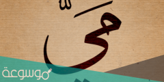 ما معنى اسم مي في المعجم الوسيط