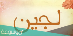 معنى اسم لجين في القاموس