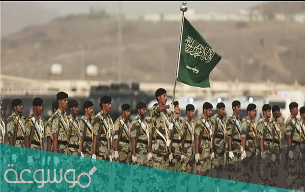 ما هي وظيفة كاتب مشغل نهاية طرفية