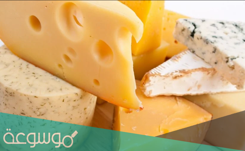 فوائد جبن القشقوان وقيمته الغذائية