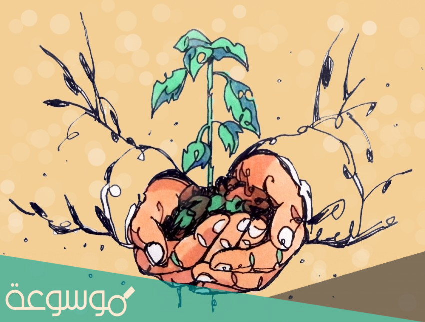 أكتب قصة تعبر عن حب الوطن مستعملا المفردات الفصيحة