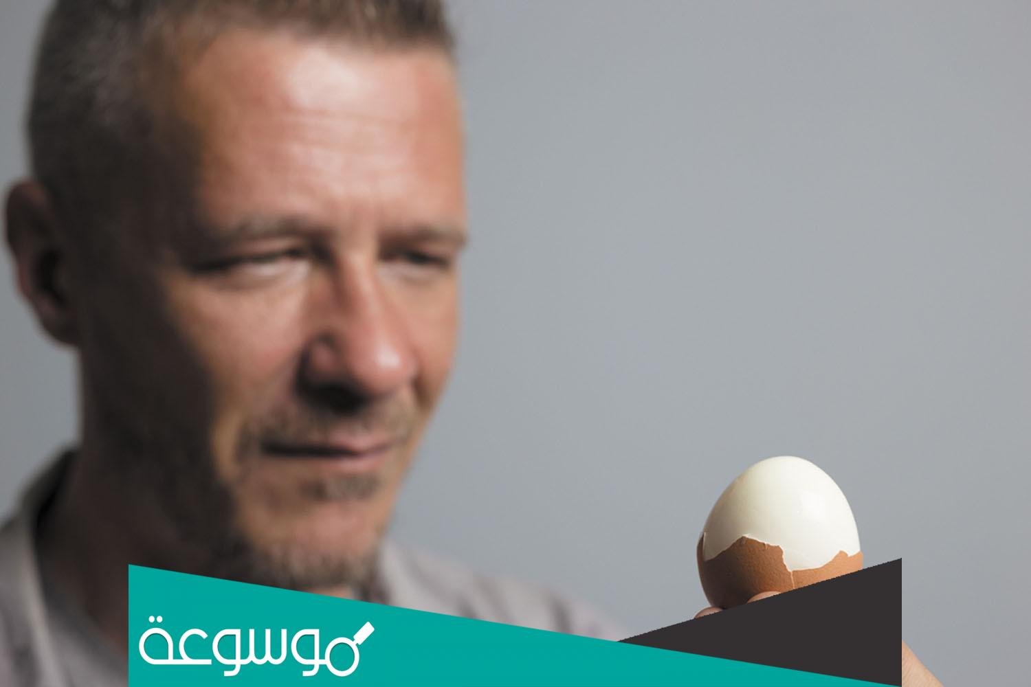 تفسير رؤية اكل البيض في المنام