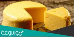 فوائد الجبنة الرومي
