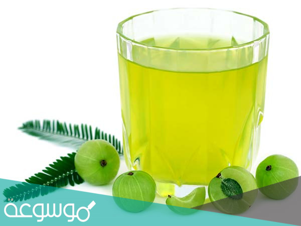 8 فوائد لتناول عصير الأملا صيفا