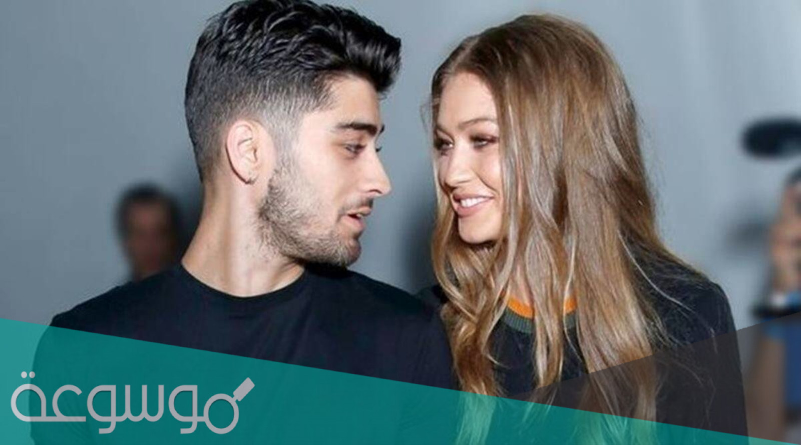 من هو زين مالك السيرة الذاتية