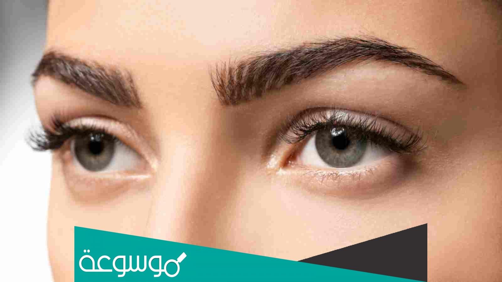 تفسير رؤية الحواجب في المنام للعزباء حسب تفسير ابن سيرين وابن شاهين