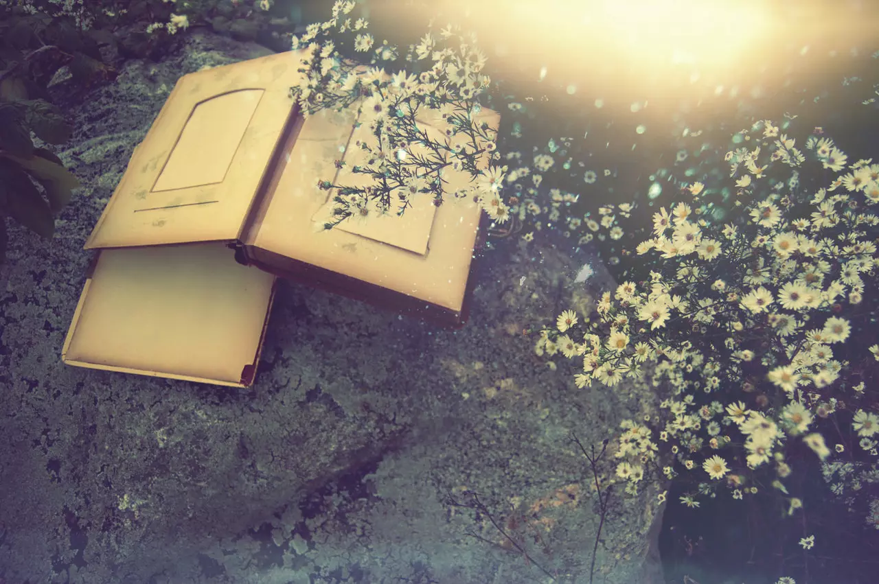 تفسير رؤية الصور في المنام حسب تفسير ابن سيرين