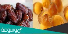 الفرق بين التمر والبلح وفوائدهما