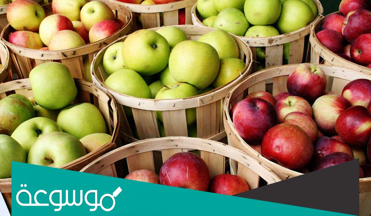 تفسير رؤية التفاح في المنام حسب تفسير الإمام الصادق وابن شاهين والنابلسي