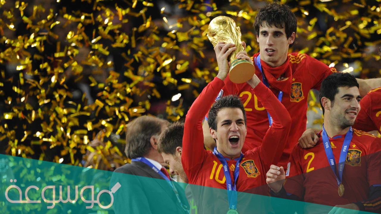 من هو بطل مونديال 2010