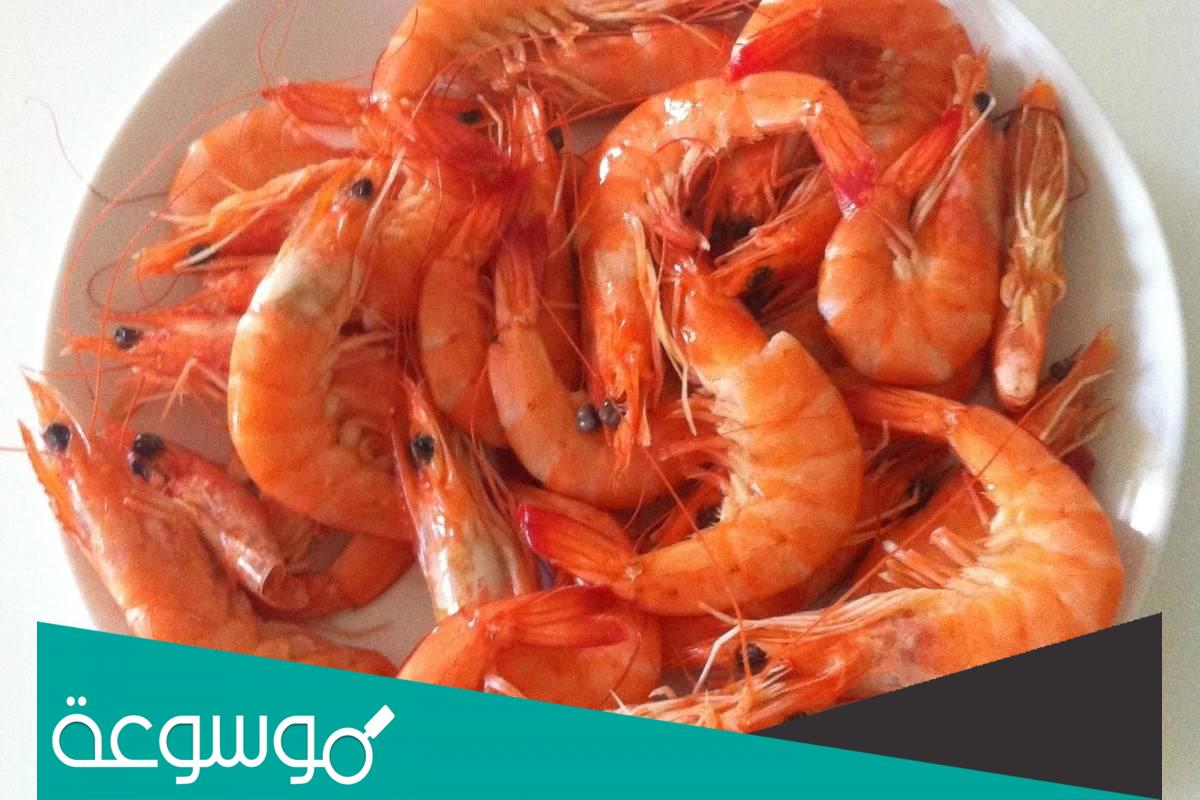 تفسير الجمبري النيء في المنام