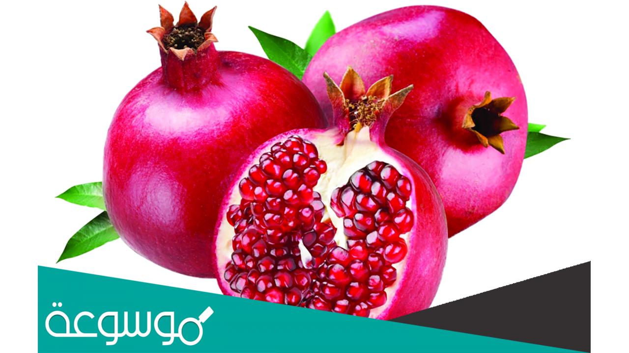 تفسير رؤية الرمان في المنام للعزباء حسب تفسير ابن سيرين وابن شاهين