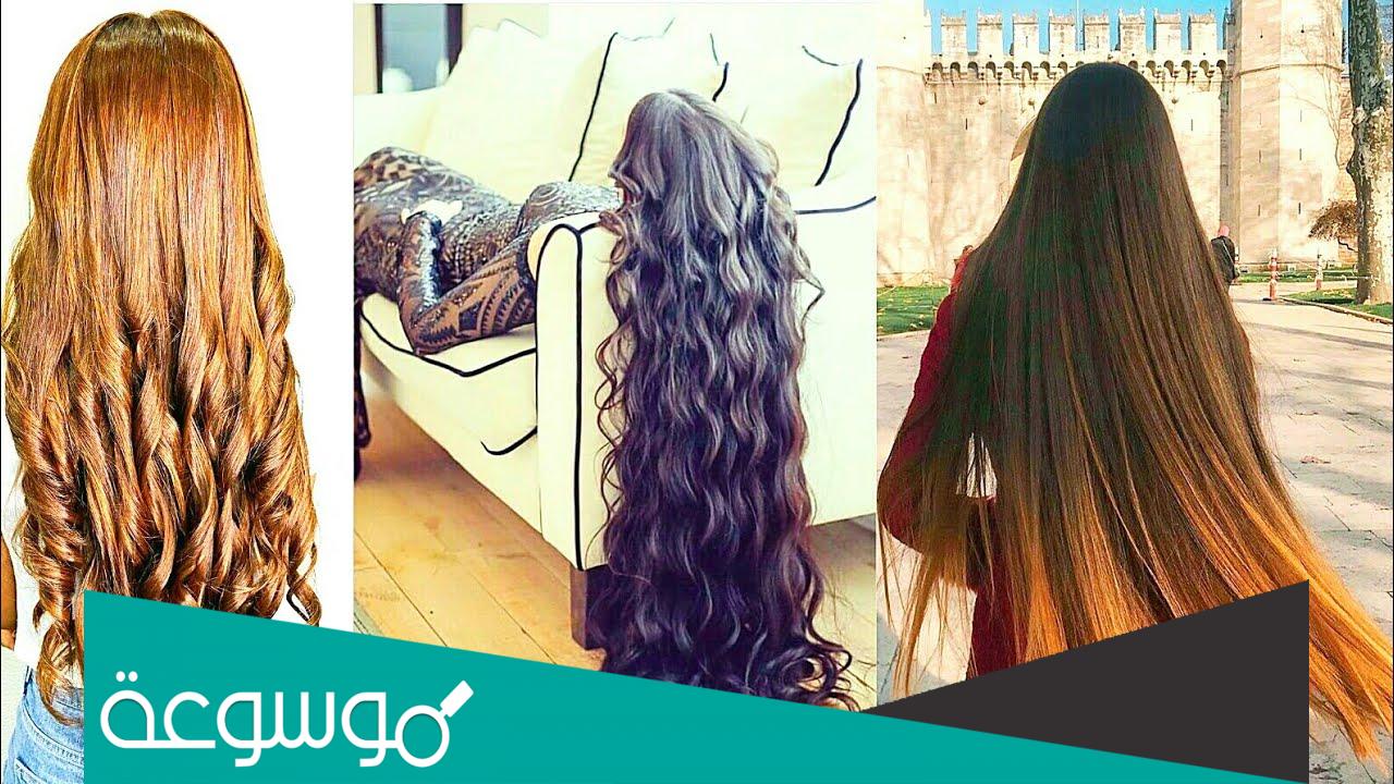 تفسير رؤية الشعر الطويل في المنام حسب تفسير العصيمي وابن سيرين