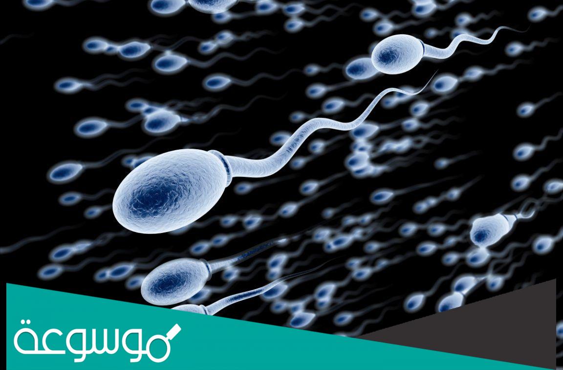 تفسير رؤية مني الرجل في المنام للعزباء