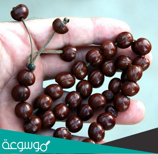 تفسير حلم رؤية السبحة في المنام حسب تفسير ابن سيرين وابن شاهين والنابلسي