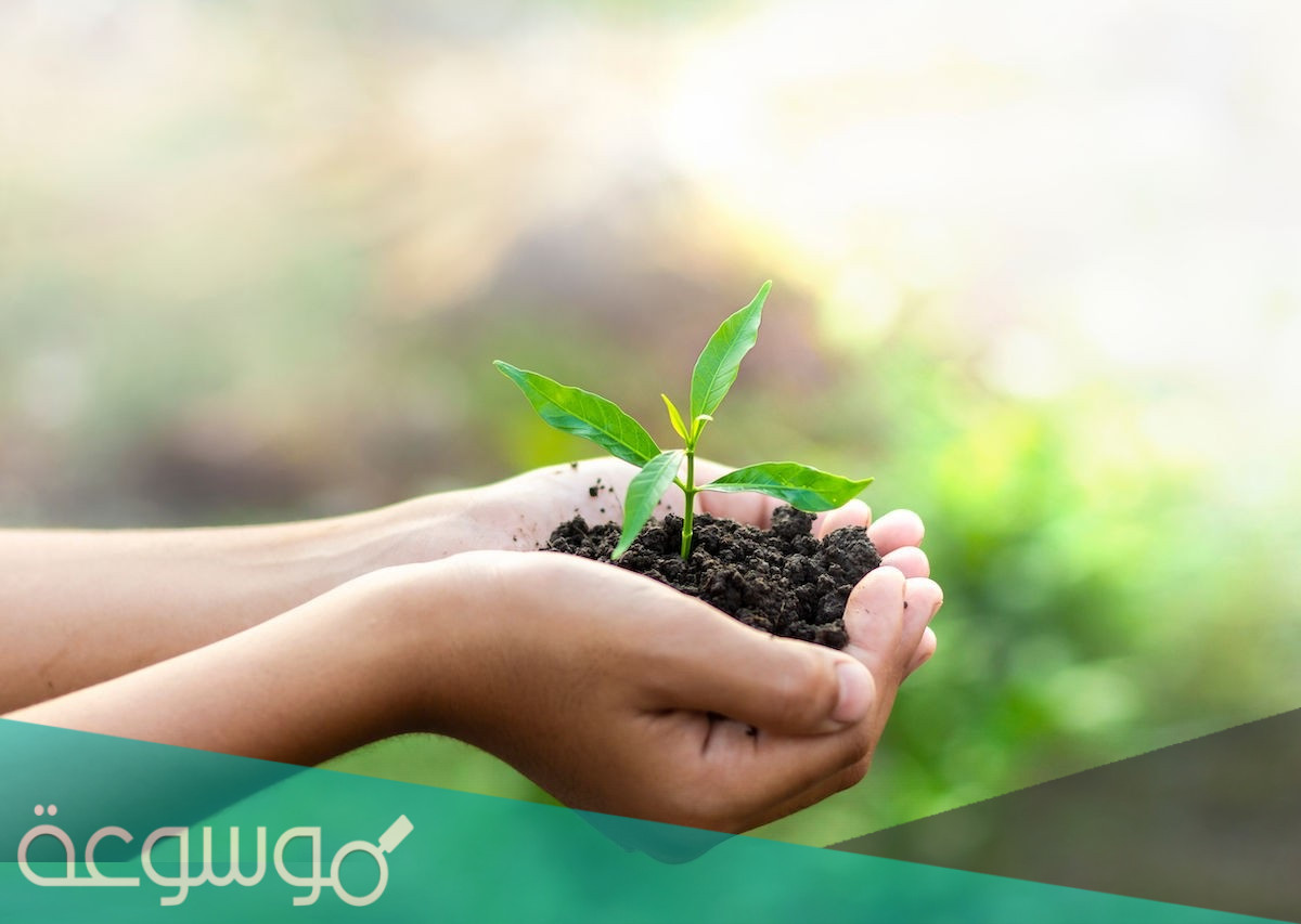 أرقام الجمعيات الخيرية في سلطنة عمان