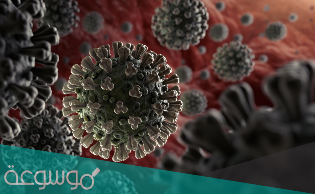 أسباب مرض كورونا