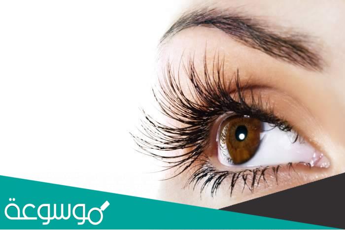 أسرع طرق تطويل الرموش وأضمنها وأرخصها