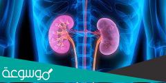 معلومات عن الفشل الكلوي
